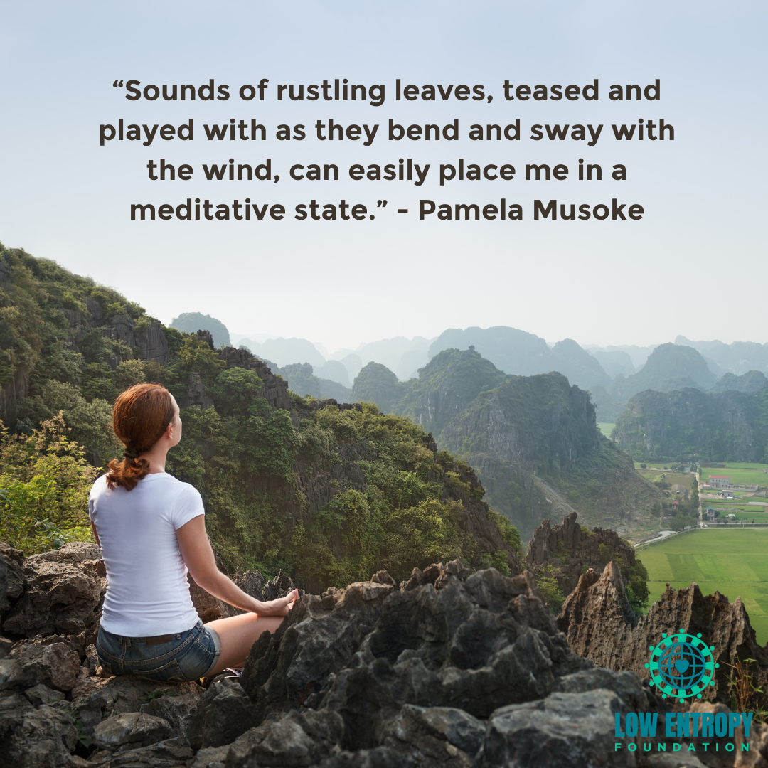 Hearing Nature’s Sounds