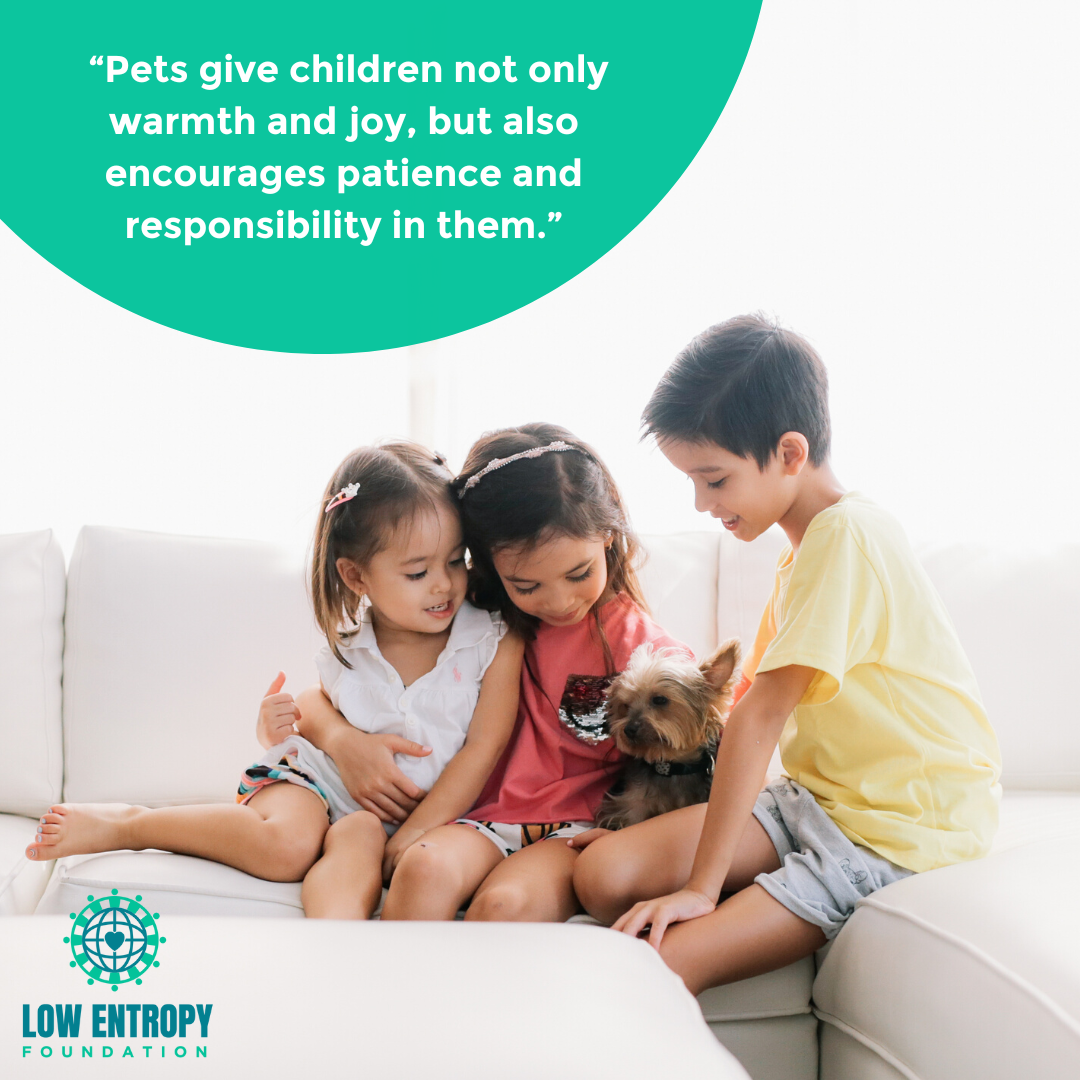 Responsibility and Companionship: the Benefits of Having a Pet as a Child