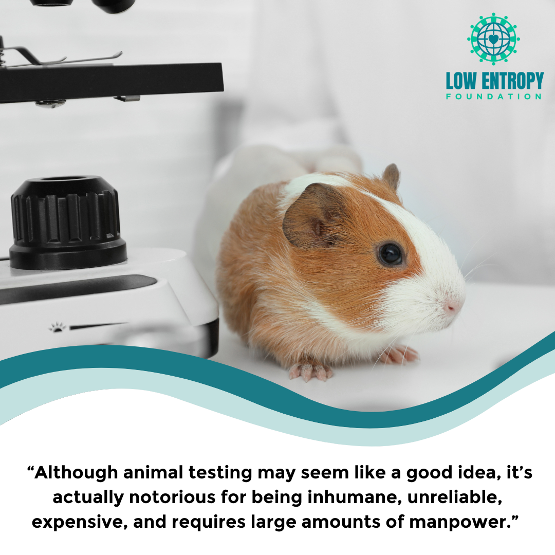 Five Humane Alternatives to Animal Testing