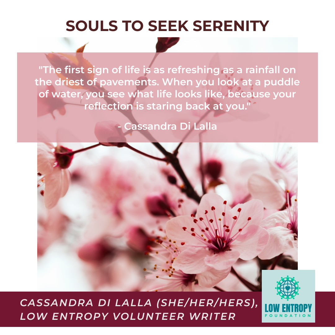 Souls to Seek Serenity
