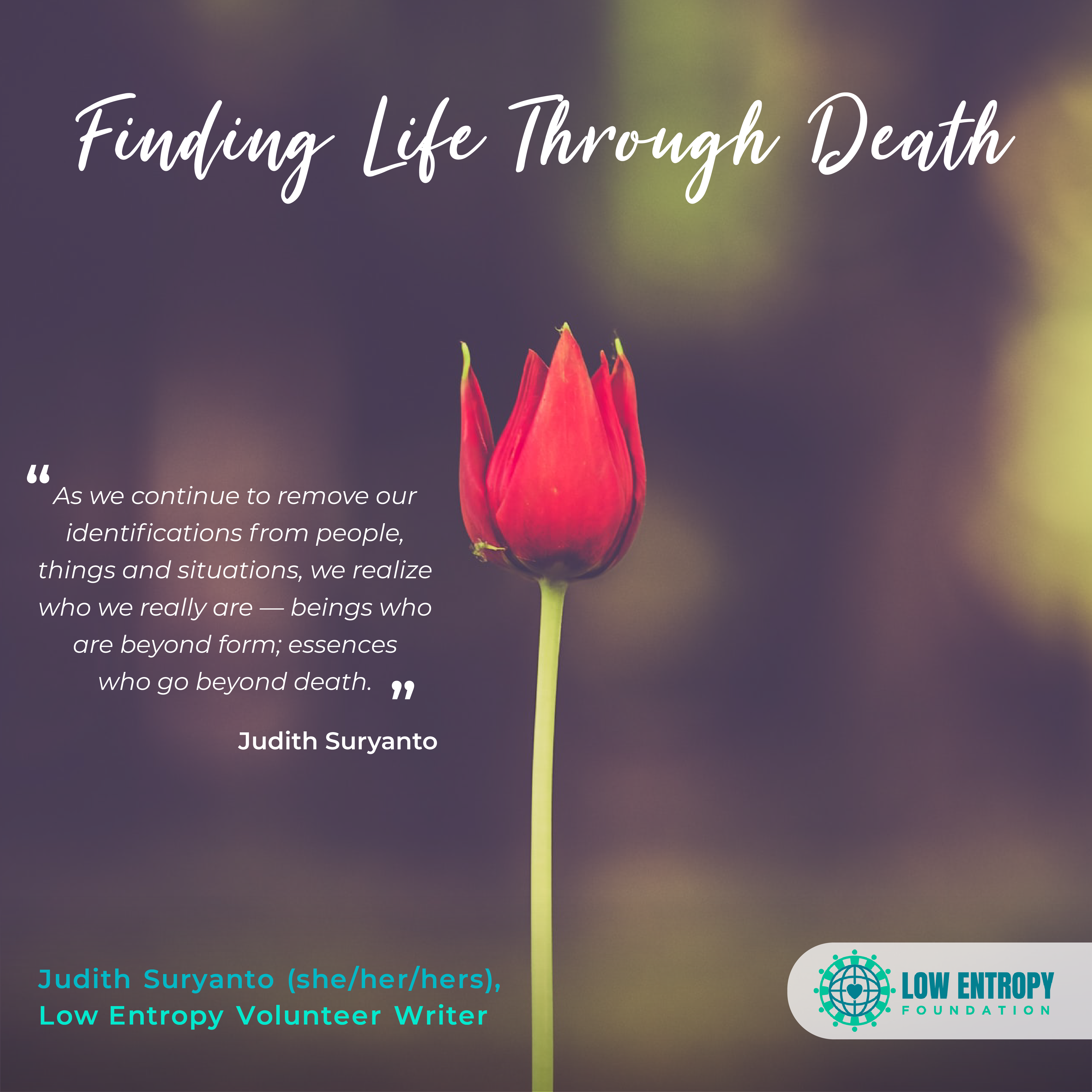 Finding Life Through Death