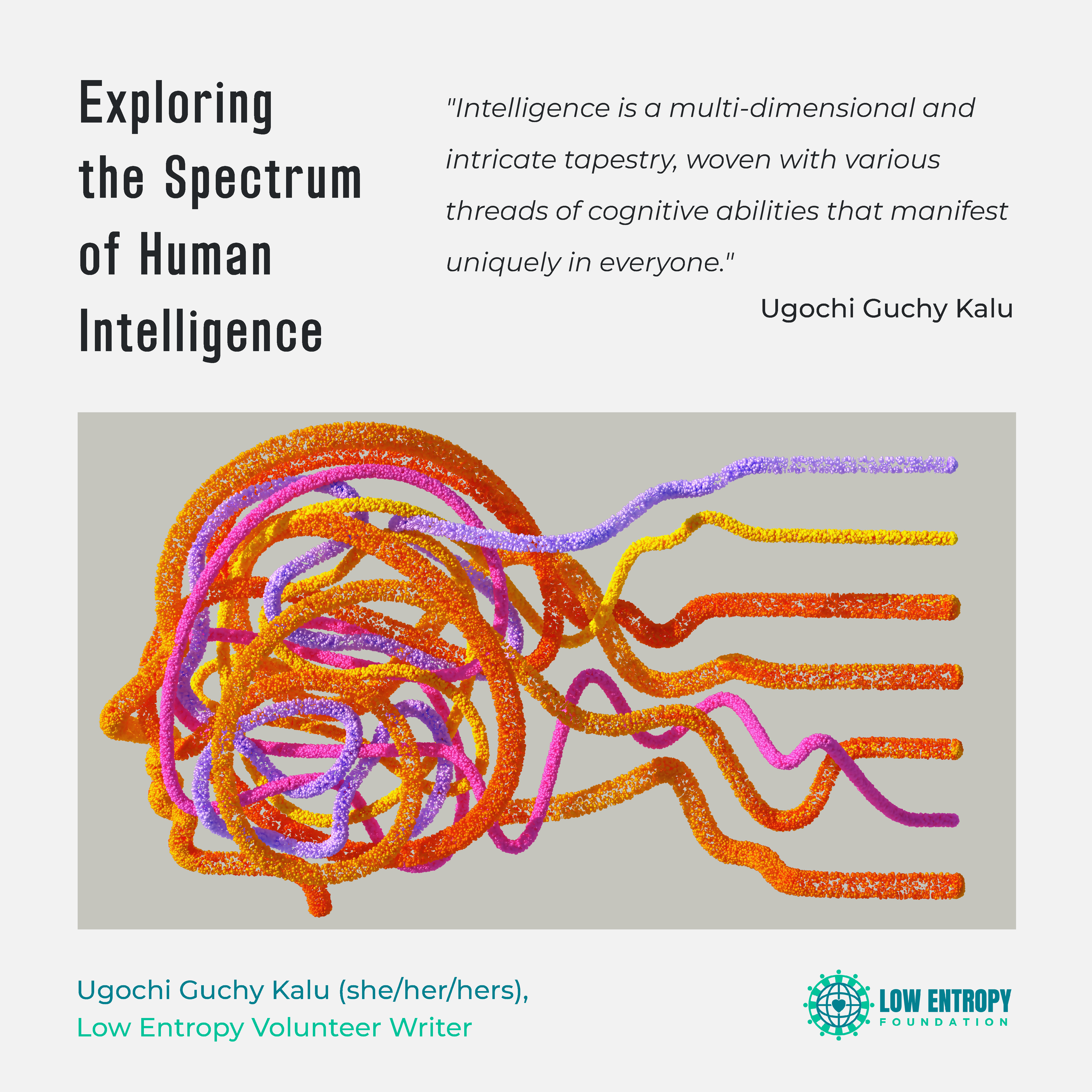 Exploring the Spectrum of Human Intelligence