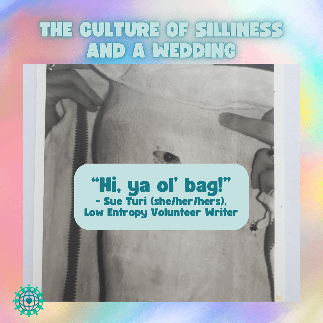 The Culture of Silliness and a Wedding